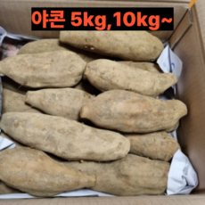 최상급 햇야콘 못난이 야콘 생식용 즙용, 1개, 즙용 10kg