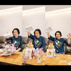 점핑 용돈박스 어버이날 카네이션 용돈케이크 생일선물 용돈박스 깜짝파티, 레드, 1개, 점핑 레드 용돈박스 2단