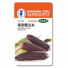 KNOWN-YOU黑甜糯玉米種子，家庭園藝特選，非基因改造，台灣全年可種植, 1個