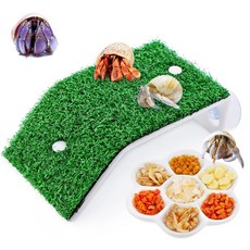 DQITJ 1팩 에르미트 크랩 램프 장난감 시뮬레이션 잔디 등반 사다리 서식지용 세라믹 음식 접시 포함