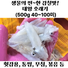 생물 호래기 꼴뚜기 횟감용 급냉 자연산 호래기 당일조업, 1박스, 대왕 호래기 생물 500g