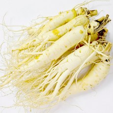 더굿진생 6년근인삼 수삼 금산인삼 원수삼, 1개, 세척인삼 특대700g(9~11뿌리)