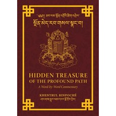 (英文圖書)Hidden Treasure of the Profound Path 平裝版, Dzokden, 英文
