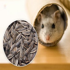 육프로컬렉션 해바라기씨 380g 햄스터용품