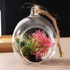 구름 테라리움 투명볼 5쌍 미니정원만들기, 10cm