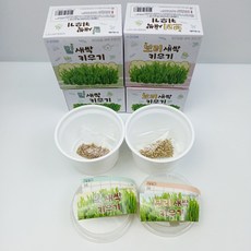 [무료배송/당일배송] 매일쑥쑥 7일완성 꼬마농부 새싹 키우기 키트 [엘리빅마켓], 4개