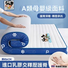 地鋪睡墊 雙人床墊 加厚床墊 宿舍床墊 升級材質床墊