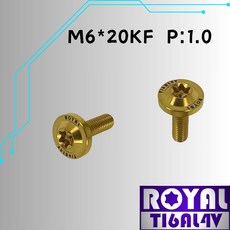 ROYAL 鈦合金螺絲 M6*20KF P:1.0 大飛碟頭螺絲 - 瘋螺絲, 1個