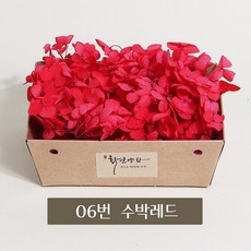 화연양화 프리저브드플라워 블루밍 케이스 수국 30색, 06 수박레드