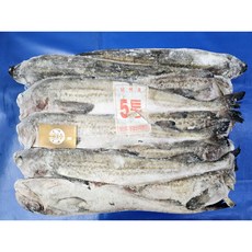 동태 5통 냉동 명태 9마리, 1개, 원물그대로