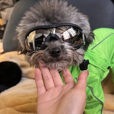 반려동물 야외 헬멧 방풍 투명 강아지 고양이 오토바이 라이딩 안전 보호 모자, 1개, S 선글라스 보호 안경