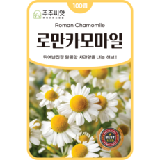 [주주씨앗] 로만 카모마일 씨앗 100립 / 진정효과가 뛰어난 사과향 허브 종자, 1개