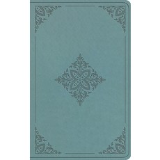 (영문도서)ESV Value Thinline Bible (Trutone Paris Sky Fleur-De-Lis Design) Imitation Leather, Crossway, English, 9798874903367
