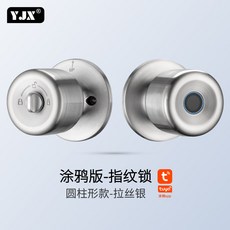 不鏽鋼球形智能指紋鎖跨境外貿公寓鎖辦公室木門房間球鎖塗鴉藍牙, 1個, 指紋鎖圓柱款-拉絲:4