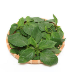 [굿피플] 바라깻잎 국산깻잎 깻잎나물 깻잎바라 [바라깻잎], 1박스, 4kg