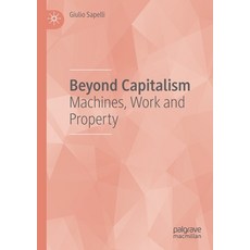 Beyond Capitalism: Machines Work and Property Paperback, Palgrave MacMillan, English, 9783030207717