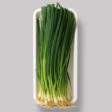 쪽파 100g, 1개