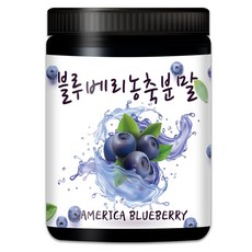 블루베리농축분말 300g 1ga+3417Dh, 1개