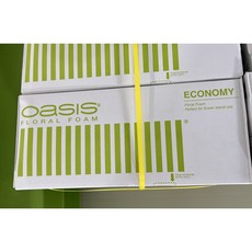 오아이스 플로랄폼 1박스 20개입, 이코노미