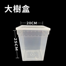爬蟲飼養盒 大樹盒 透明通風 爬蟲箱 寵物飼養箱 蜥蜴 蜘蛛 飼養盒, 1個