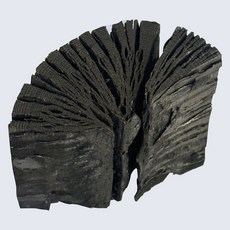 참숯습기제거 참숯 (국산 백탄)생활숯 정제 간장숯 밥 물정화 탈취 참숯 ujd+7026pH