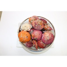 통영 산지직송 세척 제철 홍가리비 1kg, 1박스, 통영홍가리비1kg