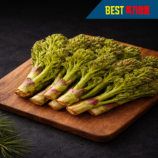 [4월한정] 최저가도전 산지수확 자연산 프리미엄 참두릅, 1박스, 500g