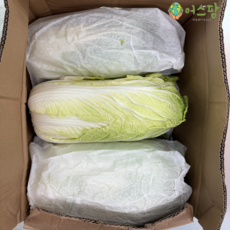 [품질보장] 통배추 생배추 수입배추 어스팜 대용량 식자재, 15kg, 1박스