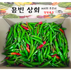 ( 용빈 상회 ) 국내산 청양고추 매운고추 땡초 못난이 상등급, 1개, 10kg내외