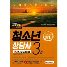 청소년상담사 3급 한권으로 끝내기(2018):1권 빨간키 & 기출문제해설 + 2권 1교시 시험과목 + 3권 2교시 시험과목, 시대고시기획, 홍평표 저