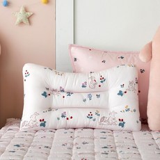 [MODERN HOUSE 중계점] 스웰)베리가든 통째로 빨아쓰는 알러지케어 경추 베개 50*30 CZ0424001, 단품