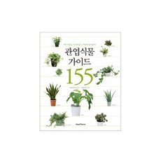 觀葉植物指南155：該將什麼植物放在哪裡 如何管理, Green Home