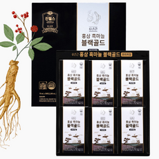 진웰스 [설날선물/쇼핑백증정] 6년근 홍삼 흑마늘 블랙골드 프리미엄 70ml 30포 설날 명절 선물세트, 2.1L, 2박스