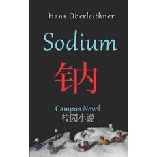 Sodium: Campus Novel - English/Chinese Paperback, Independently Published