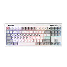 1stPlayer NEO87 유무선 기계식 키보드, 레트로, 라벤더축