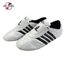 프로가드 태권화