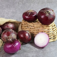 [더조은] 무안 자색양파 미니소 / 중대혼합 (kg 선택), 무안 자색양파 10kg (미니소), 1박스, 10kg