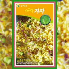새싹 겨자 씨앗 30g 어린 채소 종자 겨자씨 텃밭