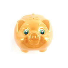 에이엘에스(ALS) 황금 돼지저금통 대 플라스틱 저금통, 1개