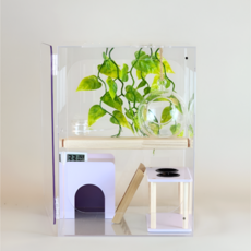 빌드몬스터 도마뱀 파충류 크레스티드게코 아크릴사육장 세트 25x25x35(cm), 1개, A타입세트