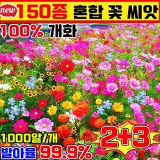 꽃 씨앗 노지 월동 다년생 꽃 씨앗 봄꽃 씨앗 4계절 꽃 씨앗 혼합 꽃씨앗 사계절 개화 식물은 천연 공기 여과기 꽃밭 혼합 씨앗 꽃바다조합씨앗, 5개