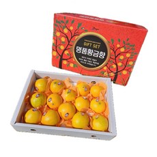 황금향 제주황금향 제주도황금향 황금향3KG 황금향5KG, 1박스, 3KG(중소과)