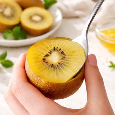 국내산 보성 골드키위 후숙하면 고당도, 1개, 2kg(대과 23-25과)