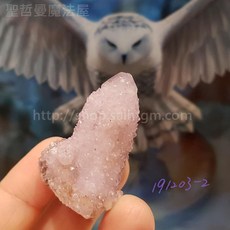 聖哲曼魔法屋 仙人掌水晶 (Cactus Quartz) 南非礦石, 1個, 191203-2