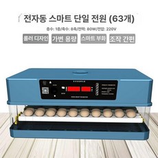 소형 자동 계란 부화기 가정용 미니 병아리 오리 거위 앵무새 인큐베이터, 1개, 기본 색상