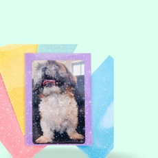 카드 슬리브 홀로그램 포토카드 보호 앨범 폴라로이드 수집용 300매, 상세페이지 참조, 상세페이지 참조
