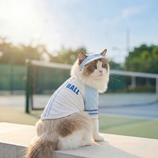 貓咪衣服春夏季清爽遮陽衣背心成幼貓無袖兩腳衣外出防曬狗狗衣服, 1個, 邦迪藍 含帽子