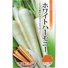 MARUTANE 荷蘭豆 矮性荷蘭豆種子 菜豆種子 1000顆, 1包