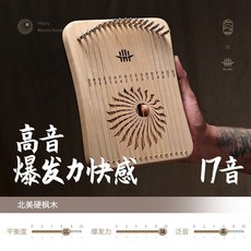 魯儒 17音指彈弦琴, 1個