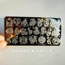 네일 템플릿 만화 캐릭터 스탬핑 플레이트 프렌치 라인 기하학 꽃 잎 동물 이미지 스테인레스 스틸 아트 스텐실, 옵션64) CJT-112, 1개